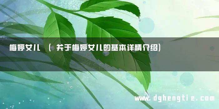 梅婷女儿 (关于梅婷女儿的基本详情介绍)